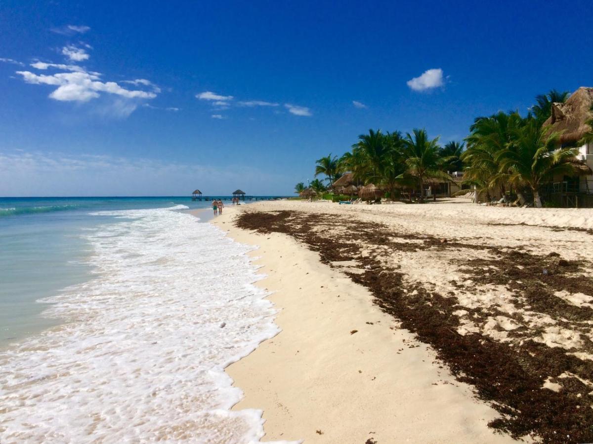 Bonito 2bd Con Piscina Playa Xcalacoco Apartamento Playa del Carmen